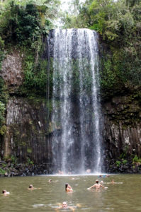 Read more about the article Australien Atherton Tablelands Waterfall Tour